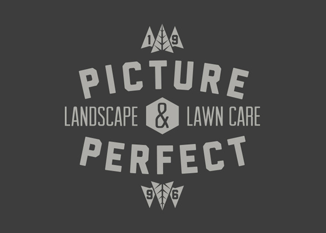 Logo Design for Picture Perfect