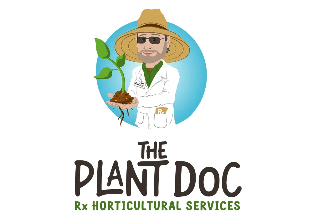 Logo Design, Branding for The Plant Doc