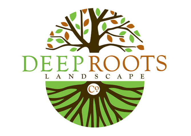 Logo Design, Branding for Deep Roots